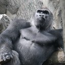 Todd McQueen - @tmcqueen22 - Twitter