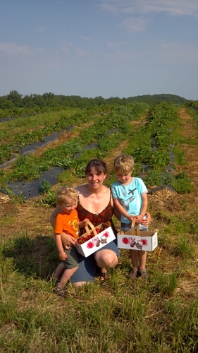 lorax3636's profile picture. 