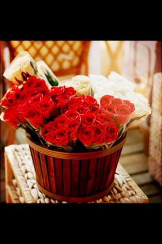 تابعني ااتابعكك @q_w_123 حسااب جدا ناايس