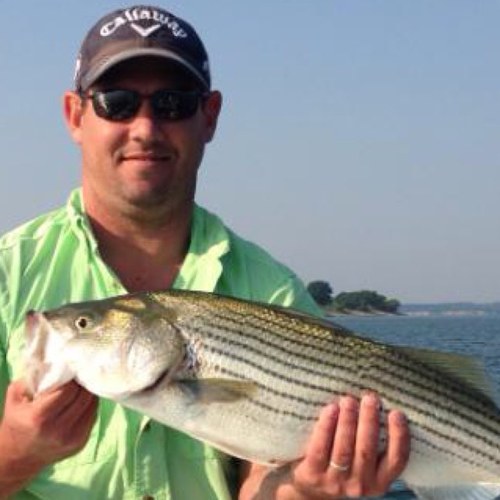 zhmarshall's profile picture. 