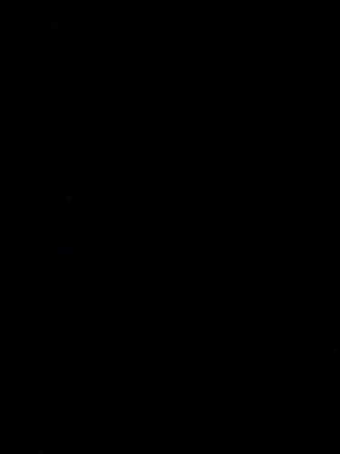 lozve012503's profile picture. 