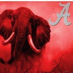 Bama22Tide's profile picture. Stay at home pops. Retired plumber. Die hard Bama Fan