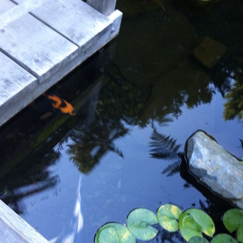 abby_mansfield's profile picture. 