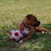 juancarlos (@jcminor1) Twitter profile photo