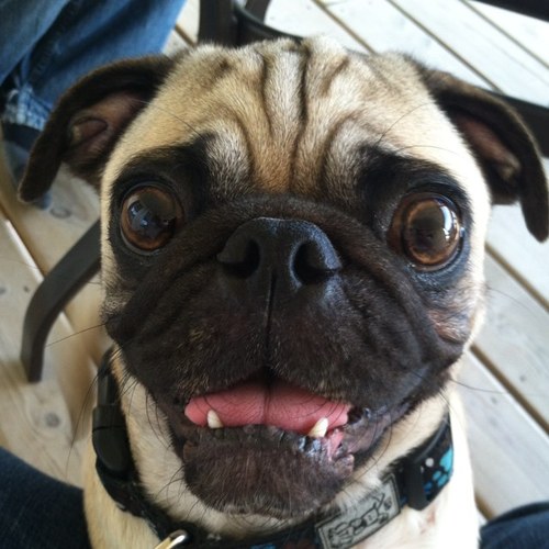 AliHltz's profile picture. 