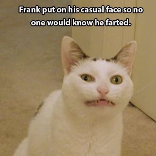 Screenlock's profile picture. Feeling free to say whatever the fuck i like