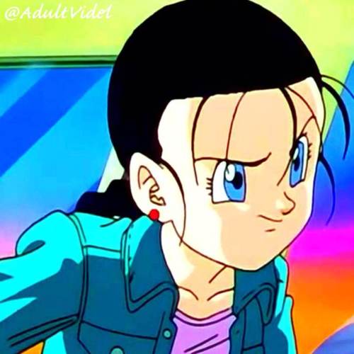 The name's Videl, daughter of the Champ! Married to the handsome Gohan, we have a beautiful daughter named Pan. #RP #Parody #Multiverse