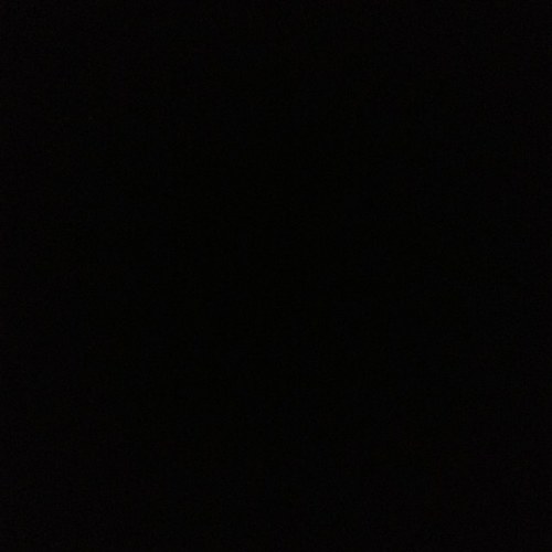 Freedomovement's profile picture. Fuck the world