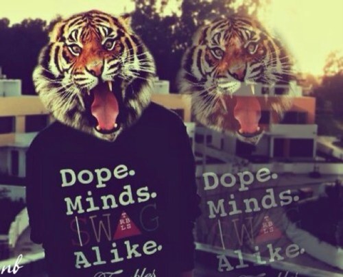 live your life, be free, you know you can have it all~