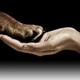 Cualquier ser que se considere HUMANO  deveria estar en contra de explotacion de animales por parte de los propietarios de expectaculos ambulanes como lo son