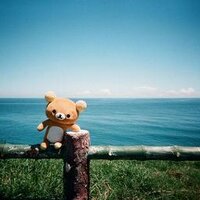 Anindya Sekar Putri (@spanindya) 's Twitter Profile