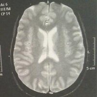 Morgane FK (@forcekro) 's Twitter Profile