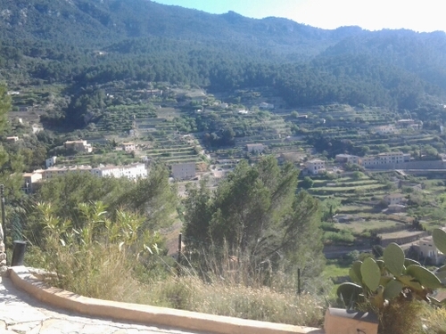Manacorí, mallorquí, balear i dels Països catalans