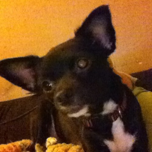 memorymaker513's profile picture. I am me!!!!