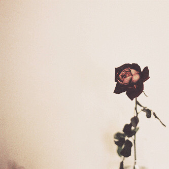 هو بعآاِده صصعبَ ولآاِ انآاِ ˛' تععَلقتَ ،بزيآاِدة♡♡