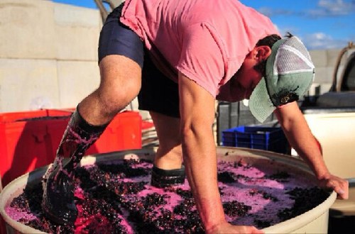 Stuart Olsen's boutique Australian winery, hand crafting artisan, fragrant red and white wines. Buy wine or newsletter sign up @ website.