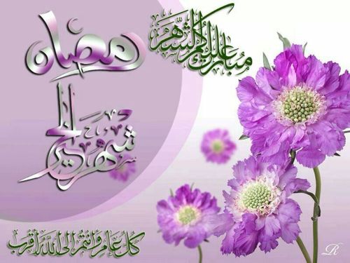 ‏‏‏‏‏‏اللهم اجعل القرآن العظيم ربيع قلوبنا ونور صدورنا وذهاب همومنا وغمومنا