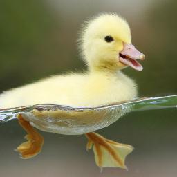 You cannot be separated from Nature, We are Nature