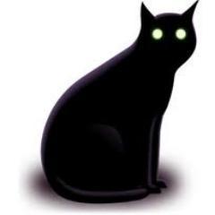 just your average black cat with wifi