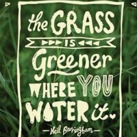 Lady fox (@lady_fox2010) 's Twitter Profile