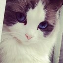 ✄--- PM 03:00 ---✄ (@0214nyanya) Twitter