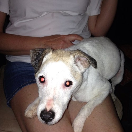 definedvintage's profile picture. 