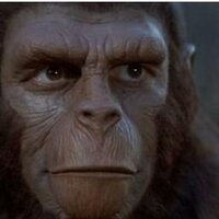 Ed Ling (@steerpike20) 's Twitter Profile