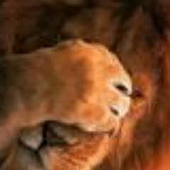 El que se arrepiente de haber pecado es casi inocente dijo Séneca. Lo importante: liberar a tus hijos de la Culpa. Si hay vida hay esperanza.