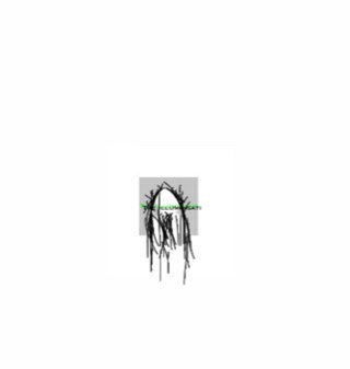 IllumingatiNZ Profile Picture
