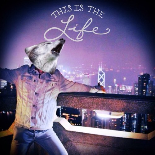 TerenceNasty's profile picture. ✰Sometimes I just want to give it all up and become a handsome billionaire✰