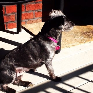 jenny_milburn's profile picture. 