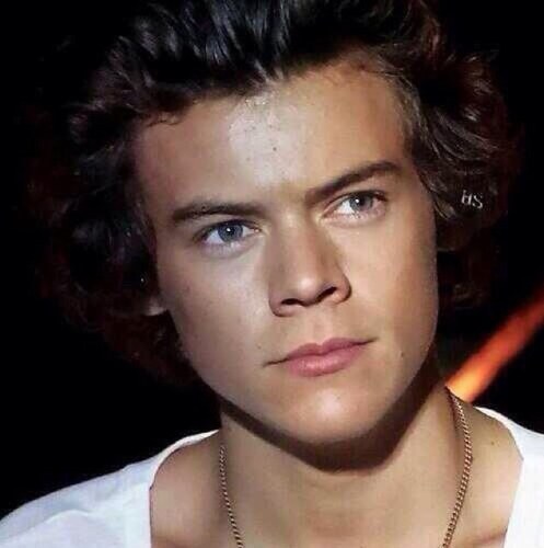Hi im Harry. Im 19 and i love cats. ~RolePlay -Niall was here-