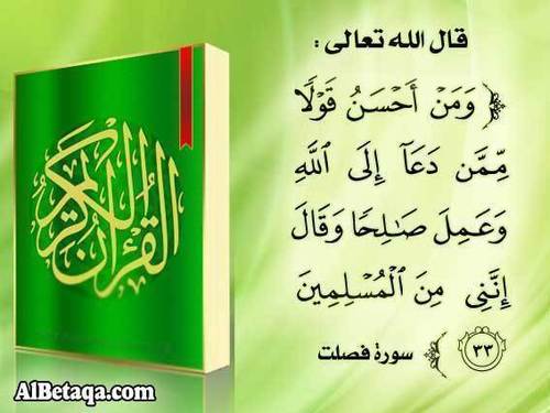محب للسلف