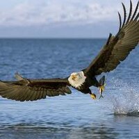 Rusli Budirahardjo (@beng_rbh) 's Twitter Profile