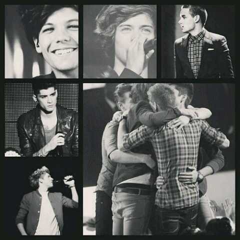 Hi, I love one direction and justin bieber! People think that is weird! But I love them! And I am forever directioner and belieber! LOVE THE JANOSKIANS byex