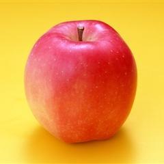 楽天のダイエットランキングのリアルタイム版を監視し、短時間で順位を上げた人気商品をツイートする非公式botです！