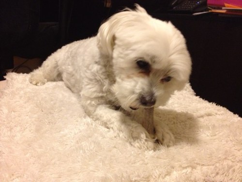 alee_marie's profile picture. Educator, dog lover & dancer, learning the art of relaxing.