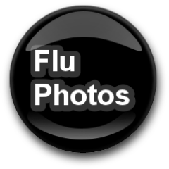 FluPhotos Profile Picture