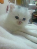 思ったことやあったことを徒然と。