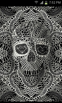 jungleroller's profile picture. 