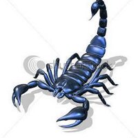 marcello (@seastar40) 's Twitter Profile