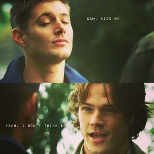 SUPER_Walkers's profile picture. 