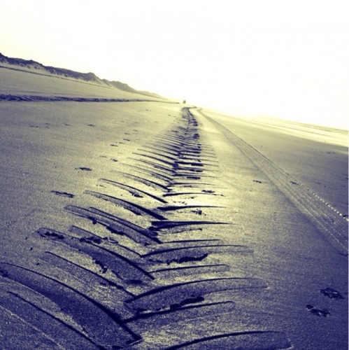 Durststrecke's profile picture. Diskutiere nie mit einem Idioten. Er zieht dich auf sein Niveau herunter und schlägt dich durch Erfahrung.