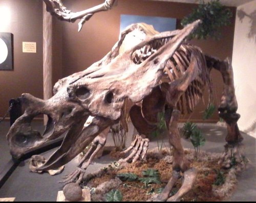 The Herkimer Community Museum is open every Tuesday, Thursday, & Saturday from 11am-2pm at 301 North Prospect Street Herkimer NY 13350.