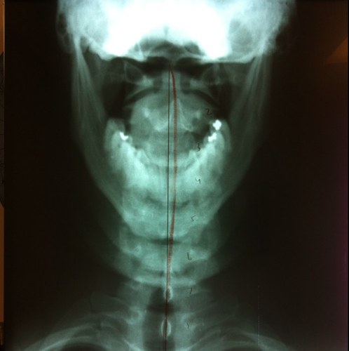 Kingeats's profile picture. 