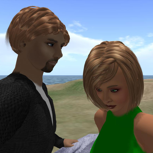 Building, maintaining, living in this Second Life style virtual world with friends.