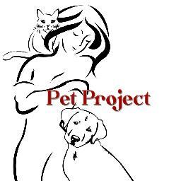 Every week we aim to rehome an animal in need in Mallorca. The project is supported by pro photographers, the PR firm PhoenixMedia & the Majorca Daily Bulletin.