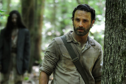 WeAllLoveTWD's profile picture. Created #GetAndrewLincolnOnTwitter ♥ Scottish. If you're Walking Dead mad then make sure to click follow for news and updates. Not affiliated with AMC.