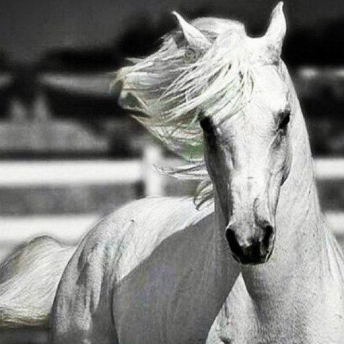 Fayounaa99's profile picture. Not everything I write or move it to represent me, but are the words I liked .