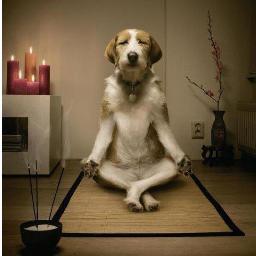 Holistic Family and Pets is a health and wellness company providing products for everything you need to naturally defend your family and pets from pests.